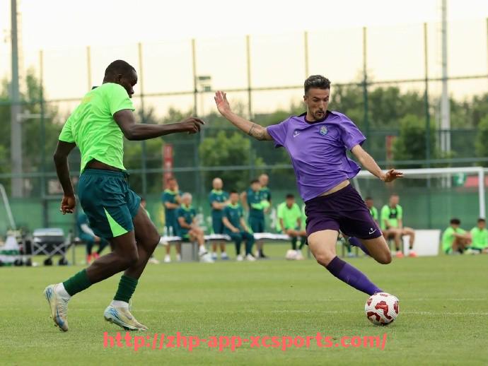 杏彩体育-法甲联盟发布的最新官方声明与内容解读