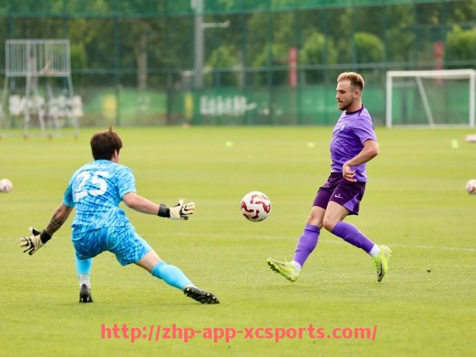 杏彩体育-意甲的球队队徽：意甲各大球队的独特队徽