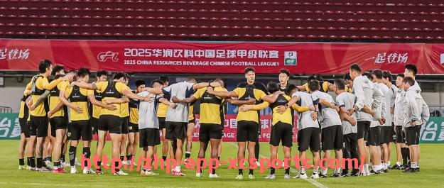 杏彩体育-法甲外援薪资结构与球队整体薪资空间的配比关系